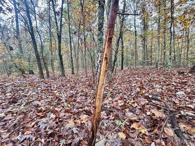 TBD Tract 4 County Road 4215, Salem, MO 65560