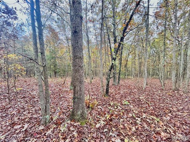 TBD Tract 4 County Road 4215, Salem, MO 65560