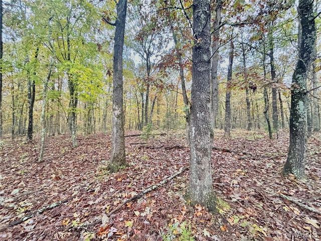 TBD Tract 4 County Road 4215, Salem, MO 65560