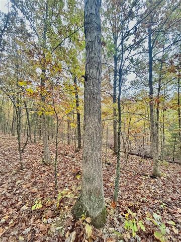 TBD Tract 4 County Road 4215, Salem, MO 65560