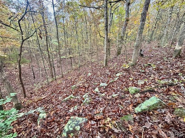 TBD Tract 4 County Road 4215, Salem, MO 65560