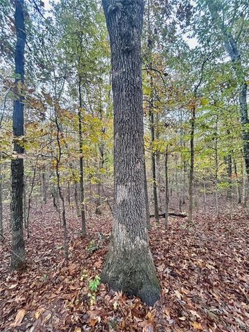 TBD Tract 4 County Road 4215, Salem, MO 65560