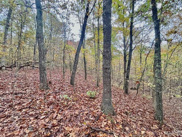 TBD Tract 4 County Road 4215, Salem, MO 65560