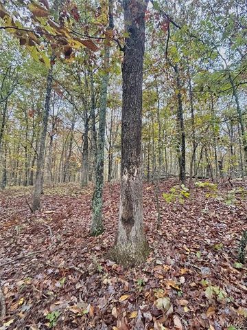 TBD Tract 4 County Road 4215, Salem, MO 65560