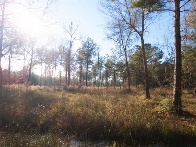 12 Acres Off W Relza Rd, Splendora, TX 77372