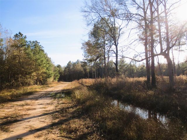 12 Acres Off W Relza Rd, Splendora, TX 77372