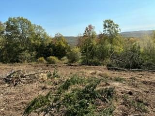 Lot 9 Woodin Place, Poughquag, NY 12570