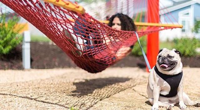 8821 Golden Lion DR, Austin, TX 78744