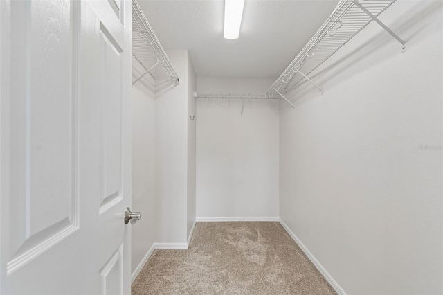 9615 REGIMENT COURT, Land O Lakes, FL 34638