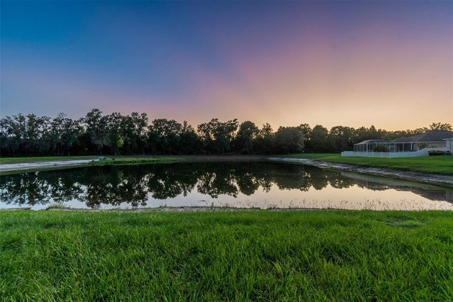 9615 REGIMENT COURT, Land O Lakes, FL 34638