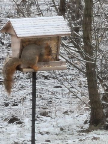 52229 Tacoma Narrows Drive, Macomb, MI 48042