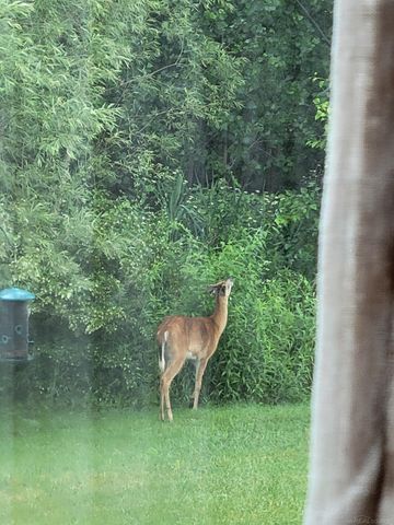 52229 Tacoma Narrows Drive, Macomb, MI 48042