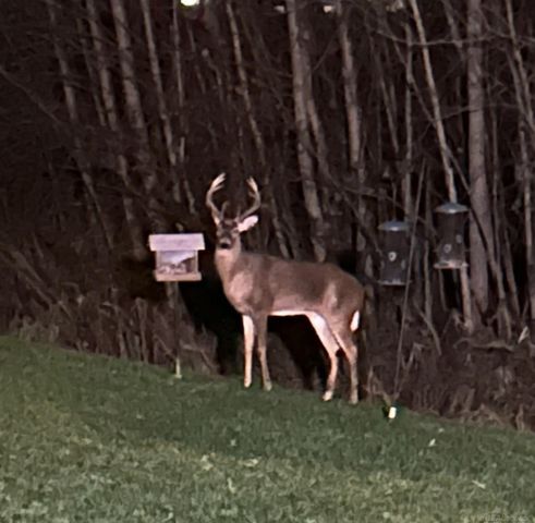 52229 Tacoma Narrows Drive, Macomb, MI 48042