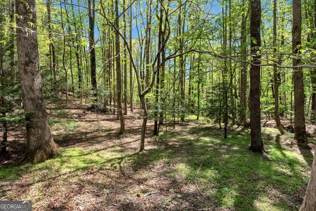 151 Woodbrier, Sautee Nacoochee, GA 30571