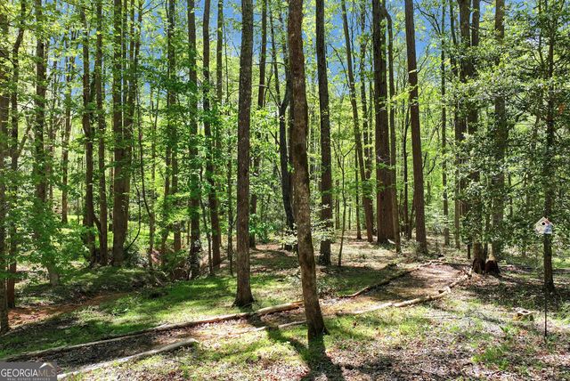 151 Woodbrier, Sautee Nacoochee, GA 30571