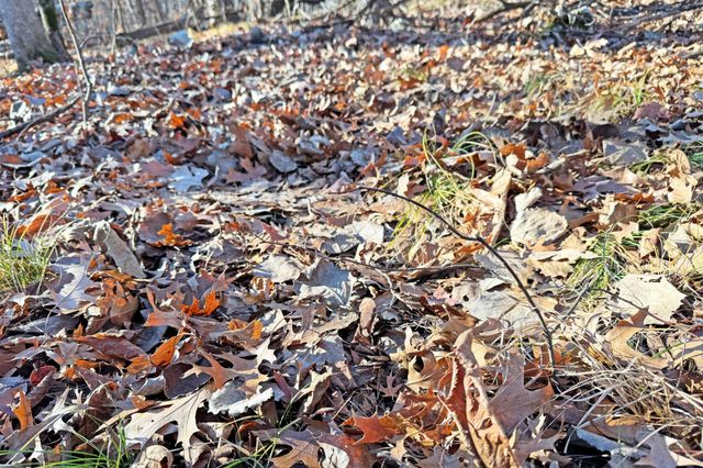 000 Beaver Dam Road, Brainerd, MN 56401