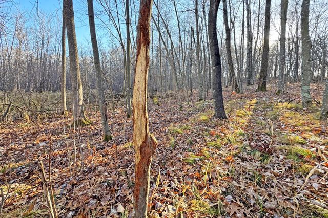 000 Beaver Dam Road, Brainerd, MN 56401