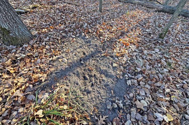 000 Beaver Dam Road, Brainerd, MN 56401