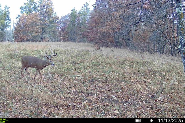 000 Beaver Dam Road, Brainerd, MN 56401