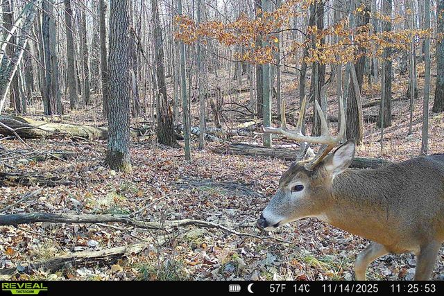 000 Beaver Dam Road, Brainerd, MN 56401