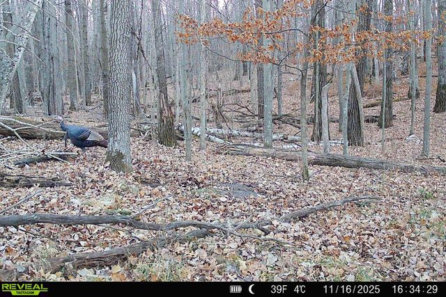 000 Beaver Dam Road, Brainerd, MN 56401