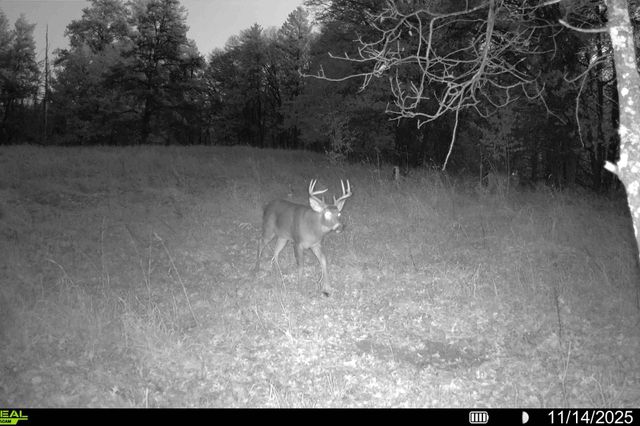 000 Beaver Dam Road, Brainerd, MN 56401