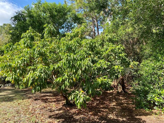 12216 184th Court N, Jupiter, FL 33478