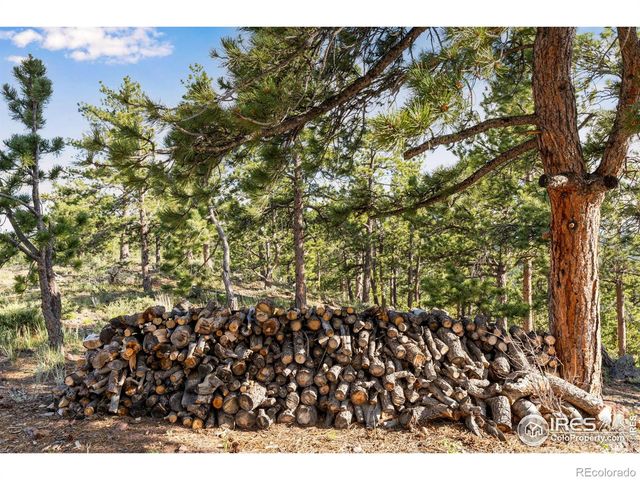 434 Caddo Road, Red Feather Lakes, CO 80545