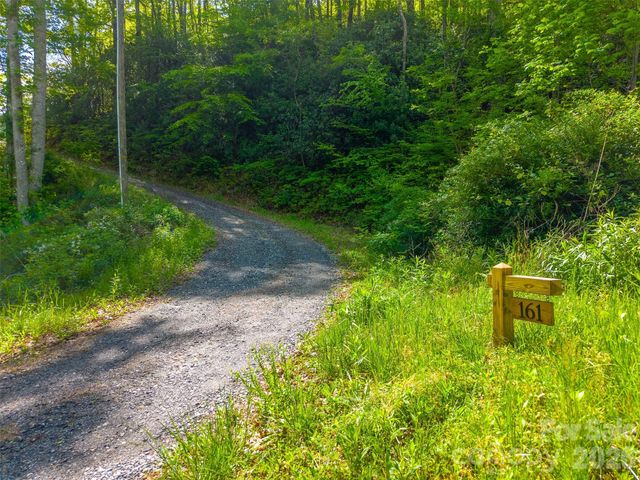 161 Panther Ridge Drive, Sylva, NC 28779