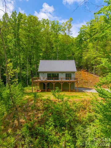 161 Panther Ridge Drive, Sylva, NC 28779