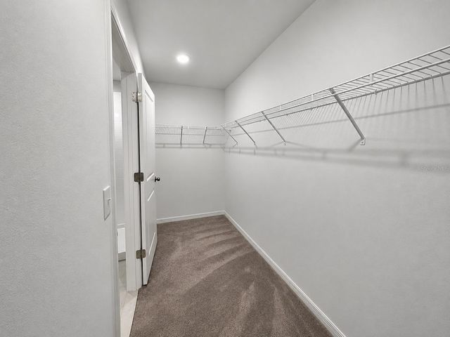 16717 DELIA STREET, Wimauma, FL 33598