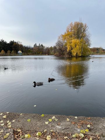 3108 Elliot Avenue, Minneapolis, MN 55407