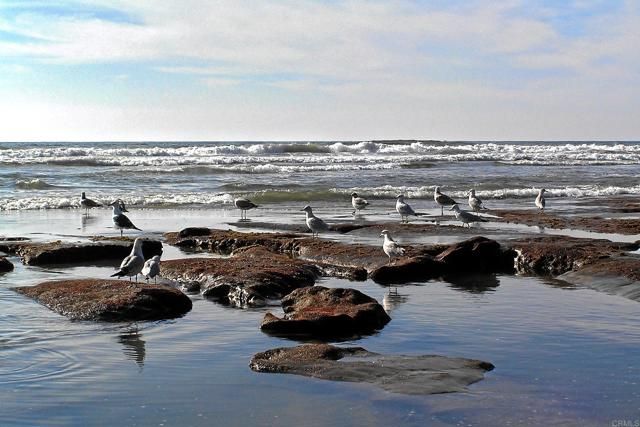 7302 Santa Barbara Street 323, Carlsbad, CA 92011