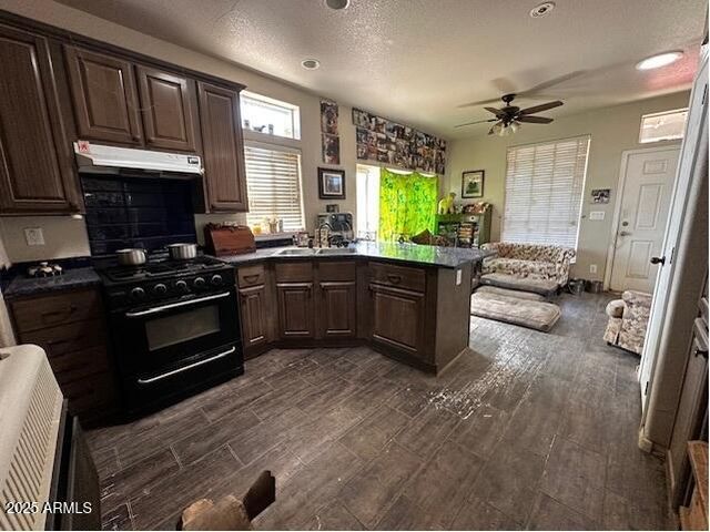 1098 E HORSESHOE SPRINGS Road, Globe, AZ 85501