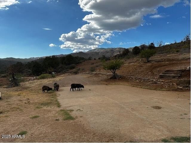 1098 E HORSESHOE SPRINGS Road, Globe, AZ 85501