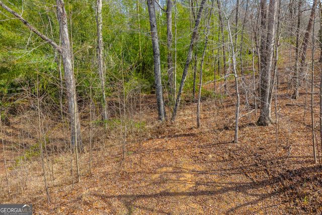 169 Leafview Drive, Cleveland, GA 30528