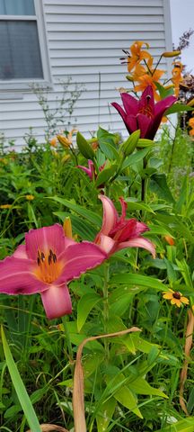 663 Amory Street, Manchester, NH 03102