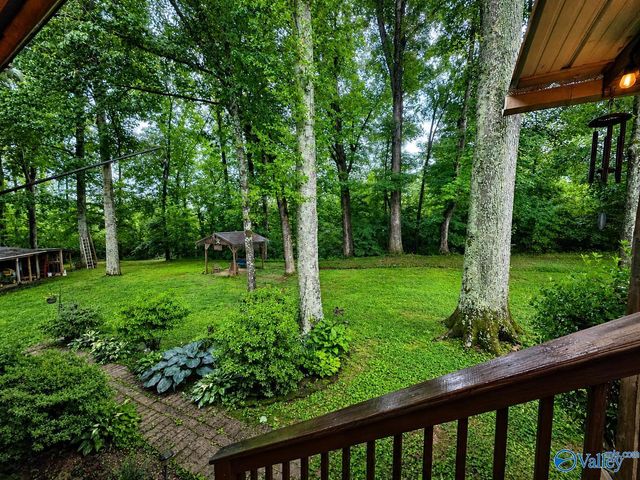 154 Dea Thomas Road, Hazel Green, AL 35750