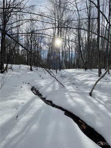 36562 County Route 46, Theresa, NY 13691