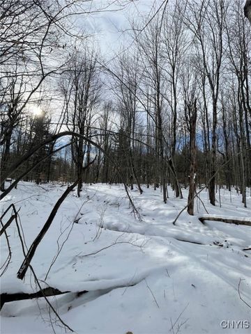 36562 County Route 46, Theresa, NY 13691