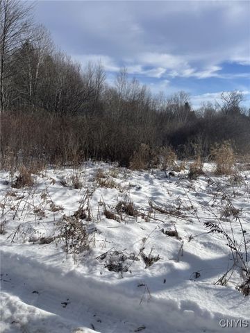36562 County Route 46, Theresa, NY 13691