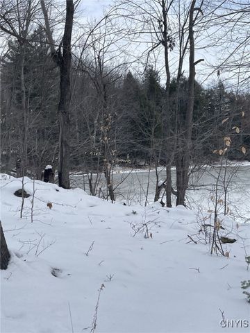 36562 County Route 46, Theresa, NY 13691