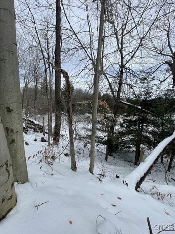 36562 County Route 46, Theresa, NY 13691