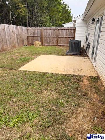 3234 Pleasant Valley Circle, Effingham, SC 29541