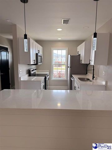3234 Pleasant Valley Circle, Effingham, SC 29541