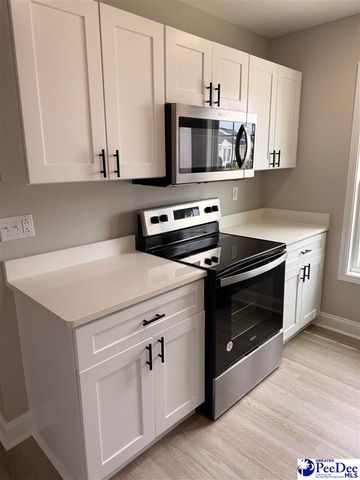 3234 Pleasant Valley Circle, Effingham, SC 29541
