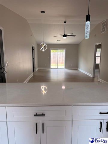 3234 Pleasant Valley Circle, Effingham, SC 29541