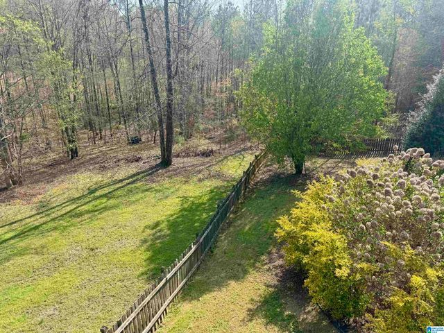 349 DEER RIDGE LANE, Chelsea, AL 35043