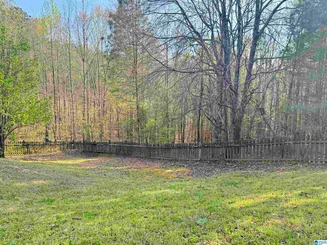 349 DEER RIDGE LANE, Chelsea, AL 35043