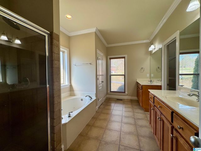 349 DEER RIDGE LANE, Chelsea, AL 35043